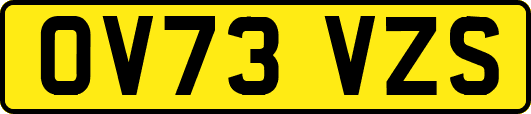 OV73VZS