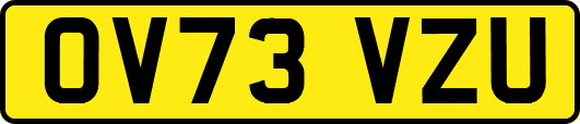 OV73VZU