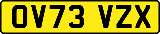 OV73VZX