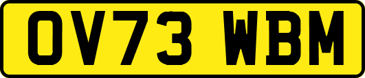 OV73WBM