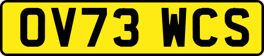 OV73WCS