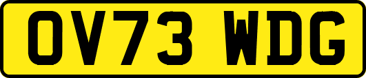 OV73WDG