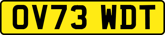 OV73WDT