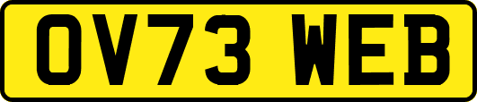 OV73WEB