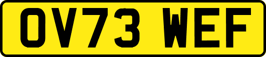 OV73WEF