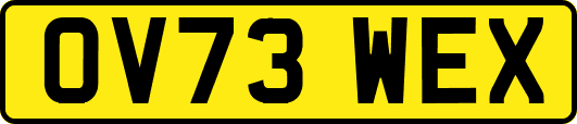 OV73WEX