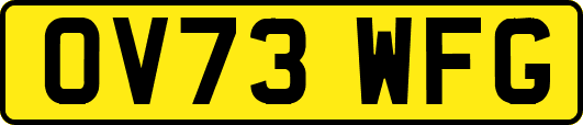 OV73WFG