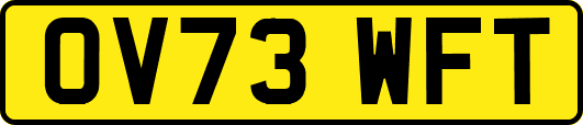 OV73WFT