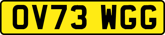 OV73WGG