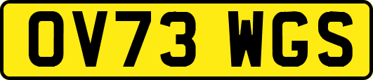 OV73WGS