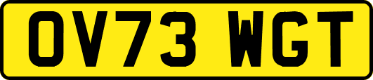 OV73WGT