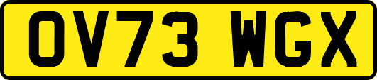 OV73WGX