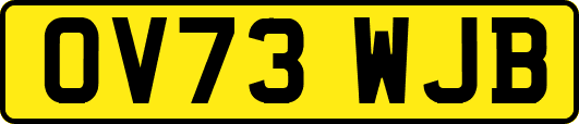 OV73WJB
