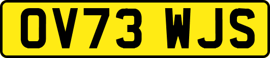 OV73WJS