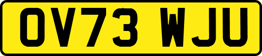 OV73WJU