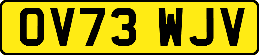 OV73WJV