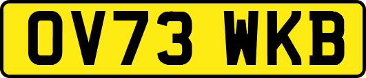 OV73WKB