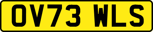 OV73WLS