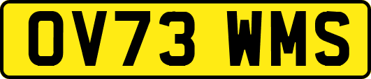 OV73WMS