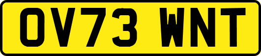 OV73WNT