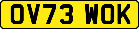 OV73WOK