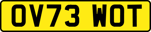 OV73WOT