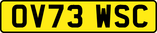 OV73WSC