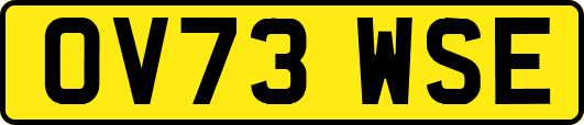 OV73WSE