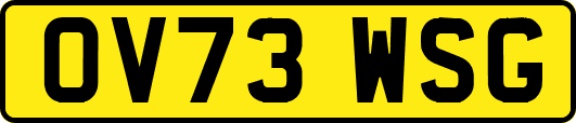 OV73WSG