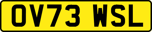 OV73WSL