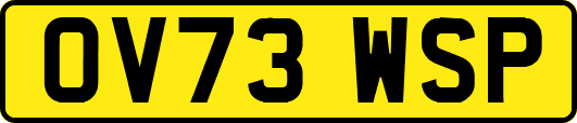 OV73WSP