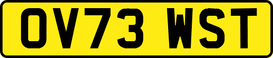 OV73WST