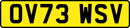 OV73WSV