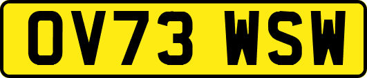 OV73WSW