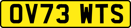 OV73WTS