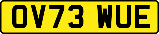 OV73WUE