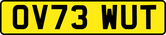 OV73WUT