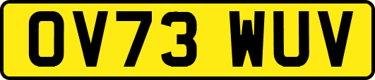 OV73WUV