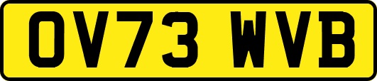 OV73WVB