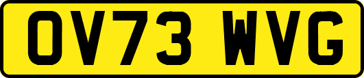 OV73WVG