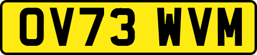 OV73WVM