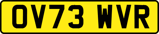 OV73WVR