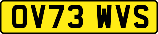 OV73WVS