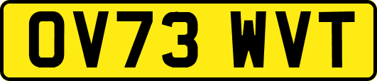 OV73WVT