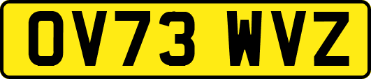 OV73WVZ