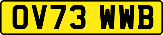 OV73WWB