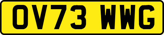 OV73WWG