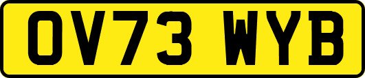 OV73WYB