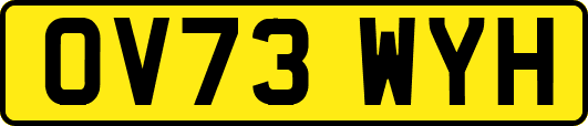 OV73WYH
