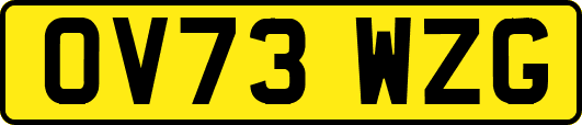 OV73WZG